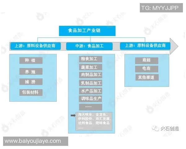 跳水运动发展历程与技术创新探讨及未来趋势分析